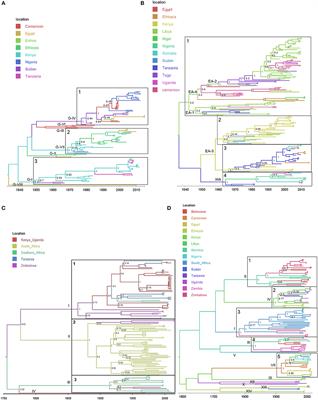 Phylogeographic Analysis and Identification of Factors Impacting the Diffusion of Foot-and-Mouth Disease Virus in Africa